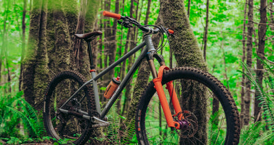 La Marche Bike Co. // 29"  Mullet Hardtail