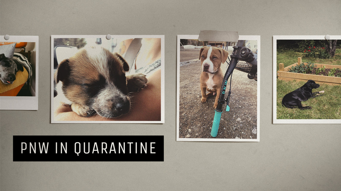 PNW and The Quarantine: Part III
